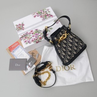 디올 오블리크 쎄 디 미니백