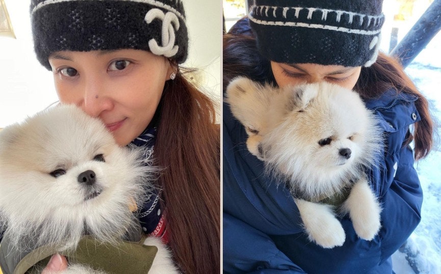 사용자가 올린 이미지